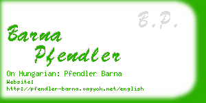 barna pfendler business card